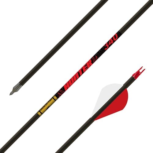 Gold Tip Hunter with Raptor Vanes (400 spine, 6 pk)